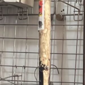 SHOWEL by silver string nationwide delivery pakistan