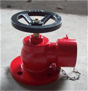 HYDRANT LANDING VALVE BY SILVER STRING SAFETY NATIONWIDE DELIVERY PAKISTAN (6)