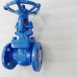 MECH UL FM GATE VALVES BY SILVER STRING SAFETY NATIONWIDE DELIVERY PAKISTAN (7)