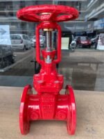 MECH UL FM GATE VALVES BY SILVER STRING SAFETY NATIONWIDE DELIVERY PAKISTAN (7)