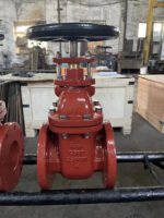 MECH UL FM GATE VALVES BY SILVER STRING SAFETY NATIONWIDE DELIVERY PAKISTAN (7)