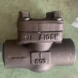 brass nrv check valves sale by silver string safety nationwide delivery pakistan