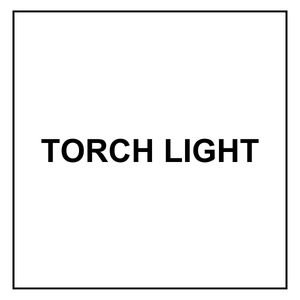 TORCH LIGHT by silver string chemicals safety department nationwide delivery pakistan