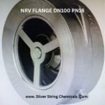 Dual Plate Check Valve 4" pakistan nationwide delivery by silver string