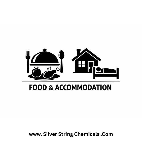 FOOD & ACCOMODATION silver string safety nationwide delivery pakistan